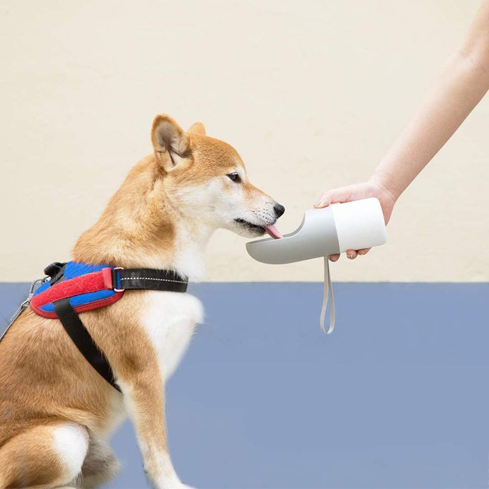 Portable Dispensable Water/Food Bowl